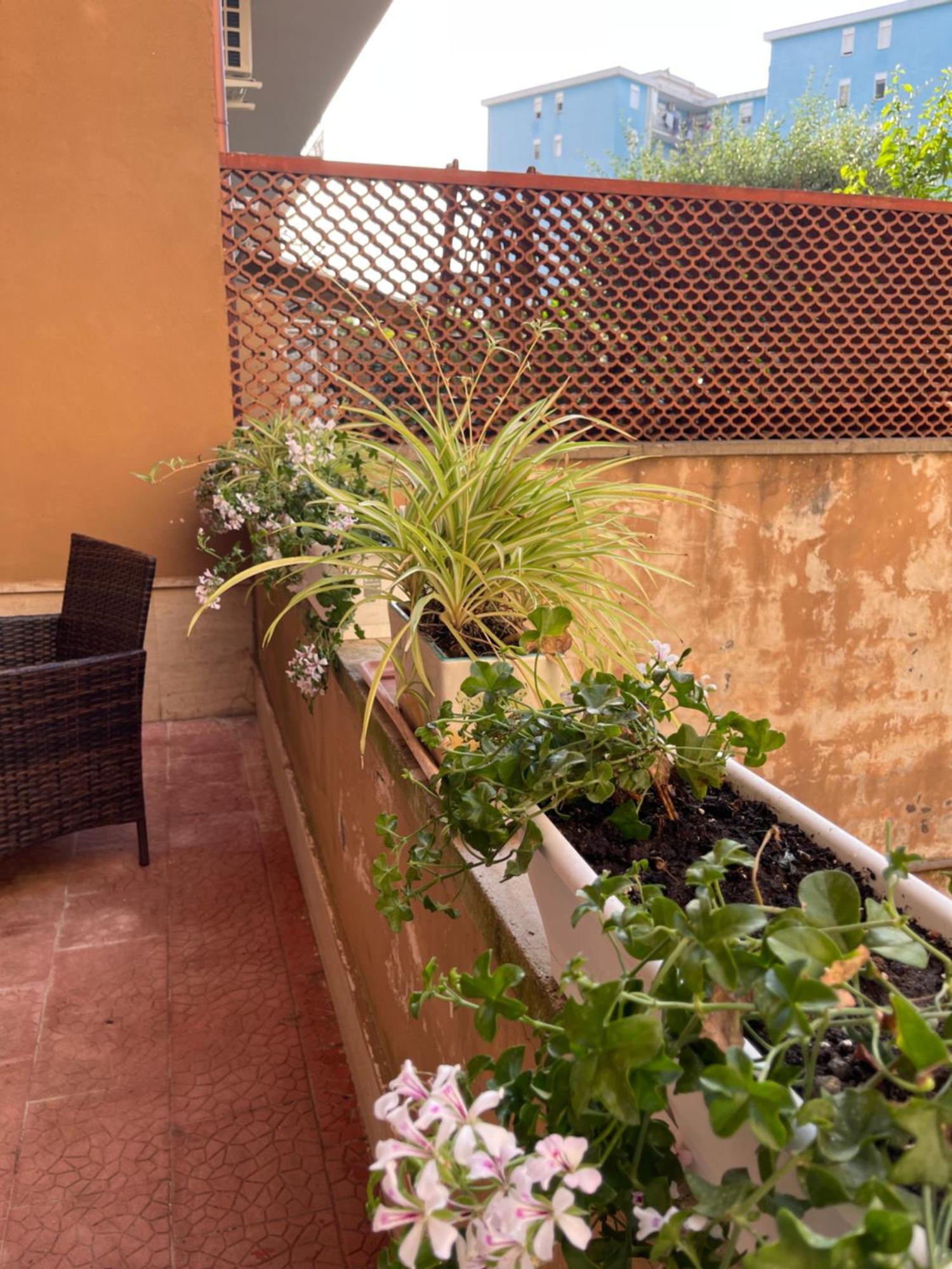 Oleander Apartment Castellammare di Stabia Exterior foto